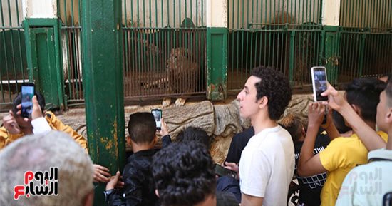 مصر تشارك فى مؤتمر الاتحاد الأفريقي لحدائق الحيوان بجنوب أفريقيا 