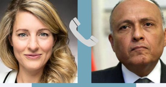 وزير الخارجية يؤكد ضرورة الحيلولة دون تدخل أى أطراف خارجية فى الشأن السودانى