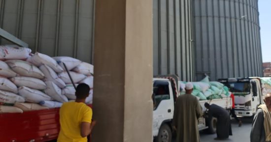 محافظ المنوفية: إقبال كثيف على توريد القمح بالشون والصوامع وتسلم 750 طنا