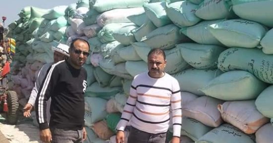 ضبط 120.5 طن قمح بشون تجميع غير مرخصة بالدقهلية