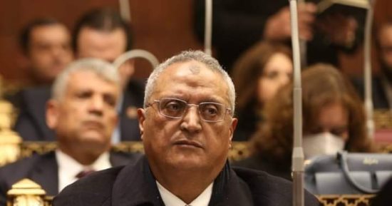 نائب بـ"الشيوخ": الحوار الوطنى طريق للمستقبل ومكسب سياسى للجميع