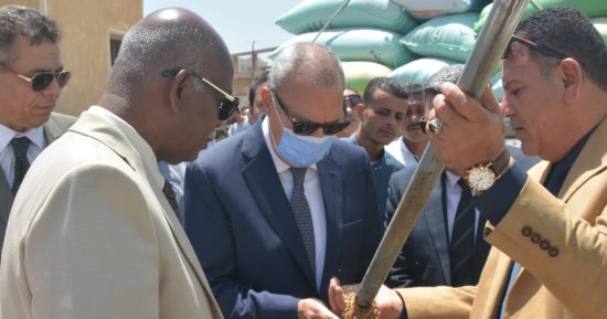 محافظ القليوبية: توريد أكثر من 4 آلاف طن قمح حتى الآن