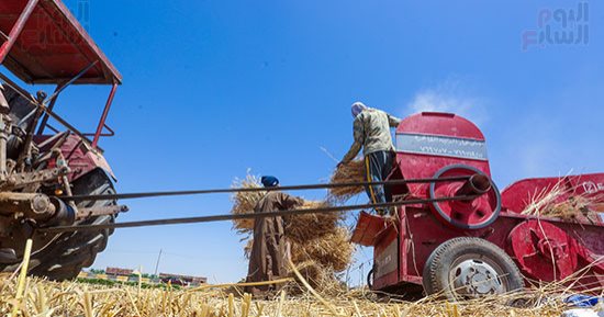 مصرع سيدة التهمتها ماكينة حصاد القمح فى الفيوم