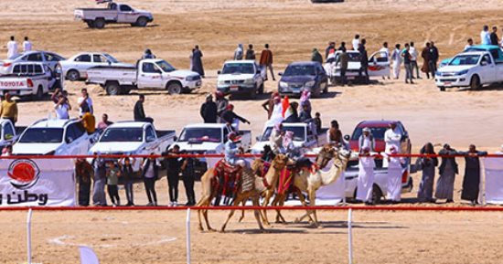 احتفالات الذكرى الـ41 لتحرير سيناء.. انطلاق فعاليات سباق الهجن على أرض الفيروز