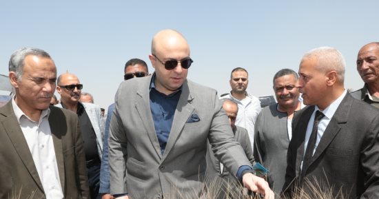محافظ بنى سويف يفتتح موسم حصاد وتوريد القمح بأحد الحقول الإرشادية