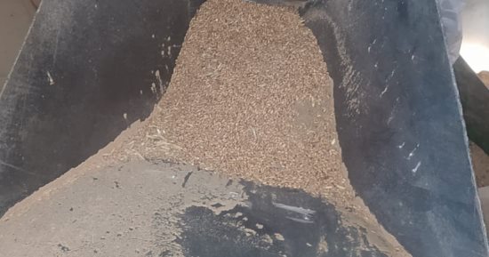 ضبط 6 أطنان و734 كيلو قمح محلى يستخدم فى تصنيع الأعلاف بالغربية