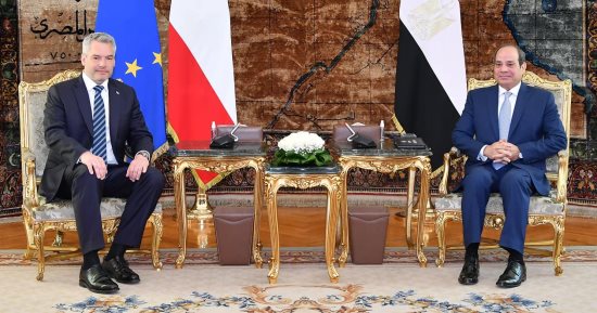 اقتصاد وعلاقات ممتدة.. مؤتمر للرئيس السيسى مع مستشار النمسا.. إنفوجراف