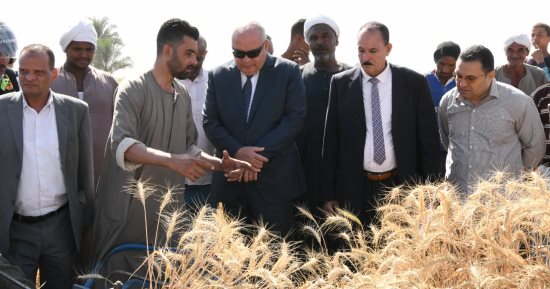 محافظ قنا يفتتح موسم حصاد القمح للموسم الجديد