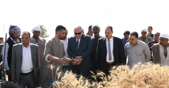 موسم الذهب الأصفر.. الصوامع والشون تستقبل محصول القمح..توريد 1136 طنا بأسيوط و1000 فى بورسعيد.. حصاد 21850 فدانا بالقليوبية والصوامع تستقبل 7018 طنا.. ومزارعو الغربية والشرقية يوردون 45 ألف طن من المحصول المحلى