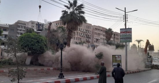 الوحدة المحلية بقنا تزيل عددًا من أشجار النخيل لخطورتها على المواطنين