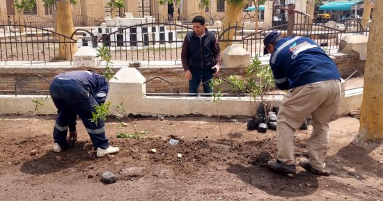حملات نظافة وزراعة أشجار ضمن مبادرة 100 مليون شجرة بدسوق