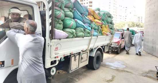 توريد 23 ألف طن من محصول القمح بالشون والصوامع الحكومية بمراكز المنيا
