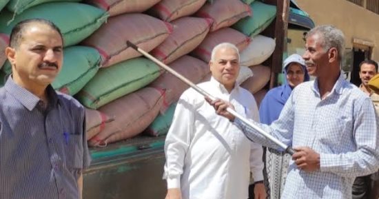 محافظ سوهاج: توريد 2401 طن قمح إلى الشون والصوامع منذ بدء الموسم