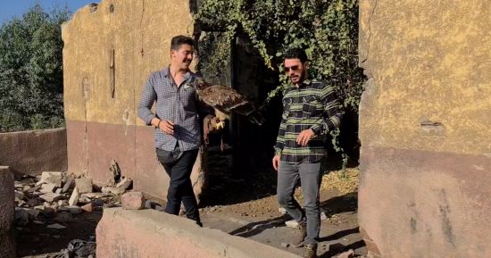 مصطفى نبوى مدرب الطيور الجارحة: "العقاب جرح أحمد العوضى فى ضهره".. فيديو