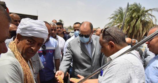 محافظ أسيوط يعلن ارتفاع توريد محصول القمح لـ2131 طنا للشون والصوامع حتى اليوم