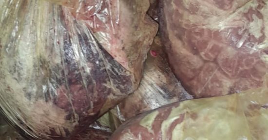 بيطرى القاهرة يضبط 2.5 طن جمبرى منتهى الصلاحية.. صور 