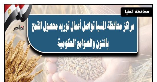 توريد 30 ألف طن من محصول القمح بالشون والصوامع الحكومية بمراكز المنيا