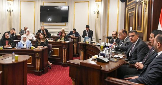 حقوق إنسان النواب تؤكد أهمية وضع مظلة تشريعية للتحالف الوطنى للعمل الأهلى