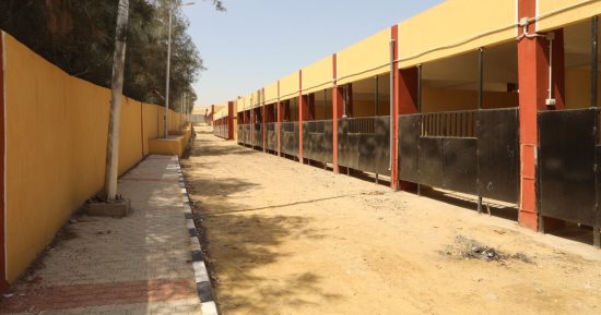 مالك "إسطبل خيل" بالوراق يعترف: سرقونى فقررت الانتقام منهم