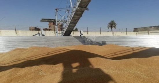 محافظ سوهاج: توريد 3748 طنا و213 كيلو جرام قمح منذ بدء الموسم دون معوقات