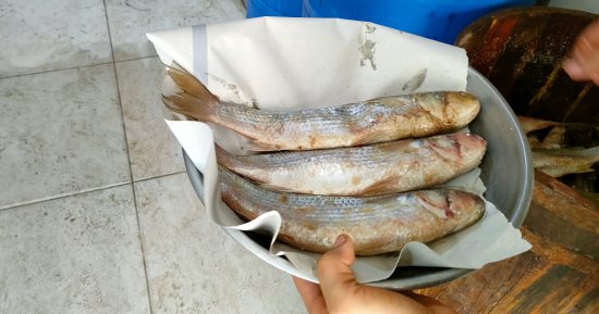 دليل شامل لشراء واستهلاك الفسيخ بأمان وتجنب مخاطر التسمم