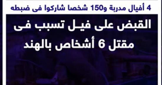 القبض على فيل تسبب فى مقتل 6 أشخاص بالهند.. اعرف التفاصيل (فيديو)