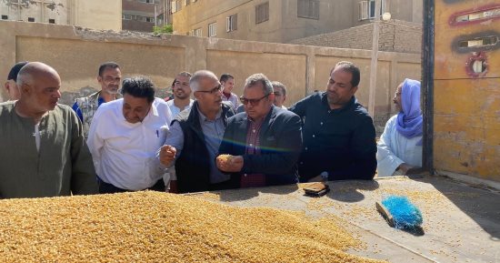 انتظام أعمال توريد القمح بشون وصوامع مراكز المنيا.. صور