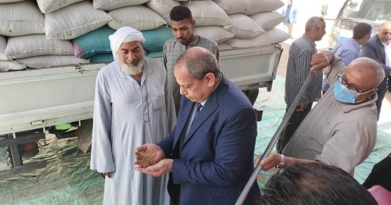 توريد 39 ألف طن من محصول القمح بالشون والصوامع الحكومية بمراكز المنيا