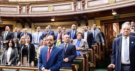 مطالب برلمانية بتأهيل الرائدات الريفيات لعمل فحص ميدانى لمستحقى تكافل وكرامة