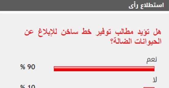 %90 من القراء يطالبون بتخصيص خط ساخن للإبلاغ عن الحيوانات الضالة