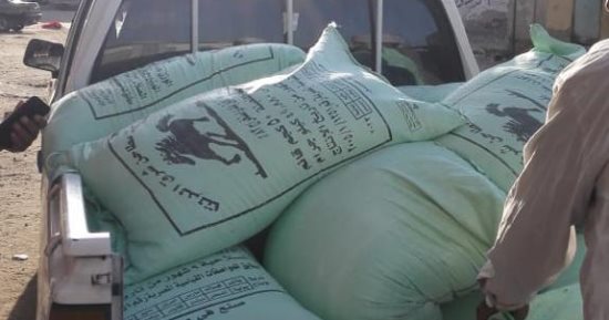 ضبط نصف طن قمح محلى داخل مصنع أعلاف بطنطا
