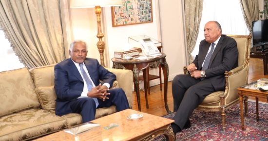 وزير الخارجية يستقبل المبعوث الخاص لرئيس مجلس السيادة السودانى بمقر الوزارة