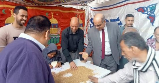 صوامع وشون الدقهلية تستقبل محصول القمح.. مواقع تخزينية بسعة 272 ألف طن لاستقبال حصاد 262 ألف فدان.. توريد أكثر من 122 ألف طن حتى الآن ومتوقع وصولها لـ490 ألف طن.. ولجنة لفحص وتحديد رتبة ونوع المحصول