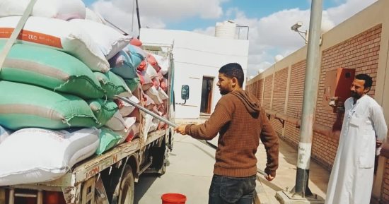 صوامع الجيزة تستقبل محصول الذهب الأصفر.. 19 ألفا و41 فدانا إجمالى المساحة المزروعة قمحا على مستوى المحافظة.. توريد ما يزيد عن 950 طنا حتى الآن.. منشأة القناطر أكبر الموردين.. ومتابعة ميدانية لعمليات التسليم