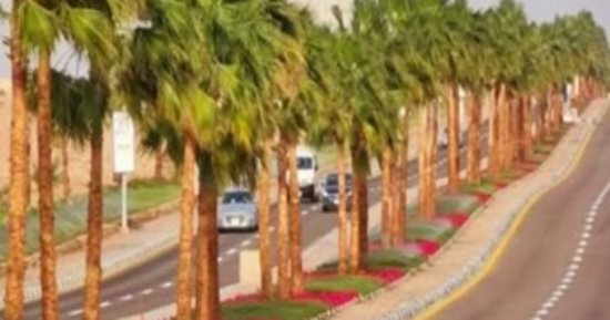 100مليون شجرة مبادرة رئاسية تحول شوارع مصر وميادينها لجنة خضراء فى 7سنوات.. تساهم فى خفض انبعاثات الاحتباس الحرارى بـ 170 ألف طن سنويا.. ووزارة البيئة تشارك في زراعة 1.3 مليون شجيرة فى جميع أنحاء الجمهورية