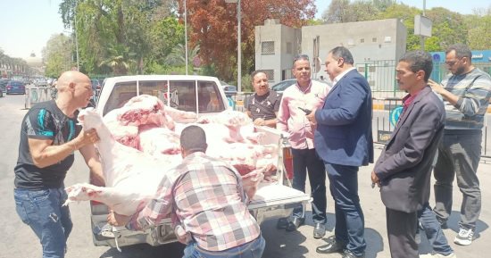ضبط عجول مذبوحة ومختومة بأختام مقلدة قبل عرضها للبيع فى جنوب الجيزة