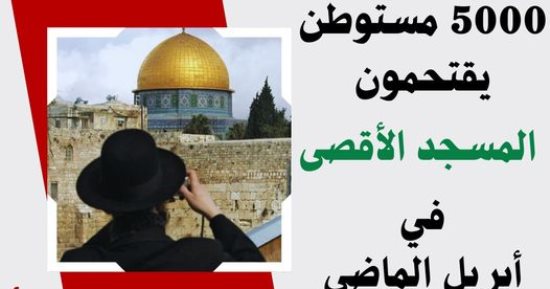مرصد الأزهر: أكثر من خمسة آلاف مستوطن اقتحموا الأقصى فى شهر أبريل
