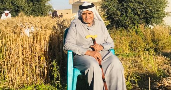انطلاق موسم حصاد القمح والشعير المزروع على مياه الأمطار بالشيخ زويد.. صور