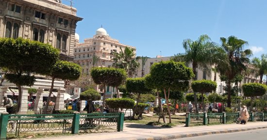 طقس الإسكندرية اليوم.. مستقر على كل أنحاء المحافظة والعظمى 24 درجة