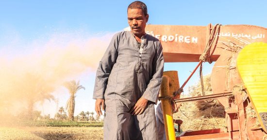 مزارعو الأقصر يحتفلون بموسم حصاد القمح وتوريده للشون.. مزارع: نحصد المحصول ونستأجر ماكينات الدراسة والجميع يعمل فيها بكل سعادة.. ووكيل تموين الأقصر يعلن توريد 505 أطنان قمح للشون والصوامع بإسنا وأرمنت.. صور