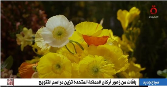باقات زهور من 4 دول تزين مراسم تتويج ملك بريطانيا..تقرير «القاهرة الإخبارية»