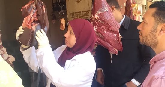 "بيطرى الغربية" يحرر 25 محضرا بحملات تفتيشية بمراكز ومدن المحافظة