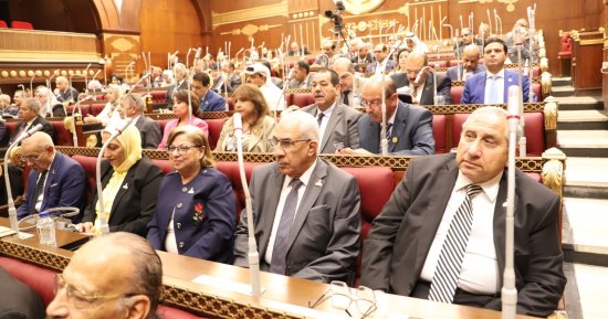 5 توصيات من مجلس الشيوخ للحكومة فى قطاع الطاقة والكهرباء.. تعرف عليها  