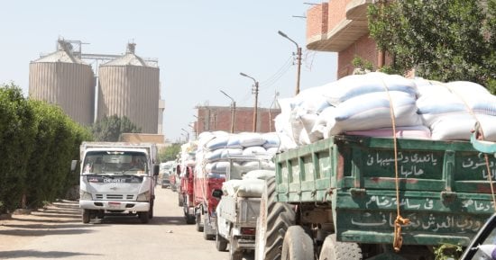 محافظ بنى سويف: استلام أكثر من 52 ألفا و670 طن قمح بالصوامع والشون