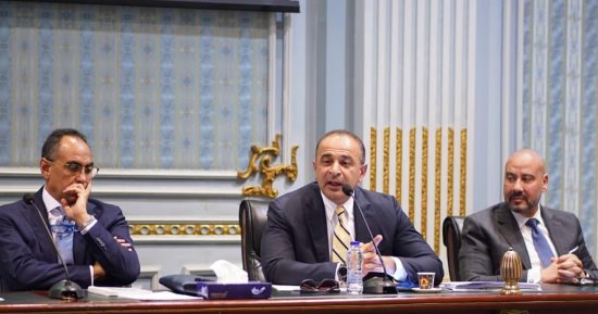 التخطيط: الاعتماد على المنظومة الإلكترونية المتكاملة لإعداد الخطة الاستثمارية
