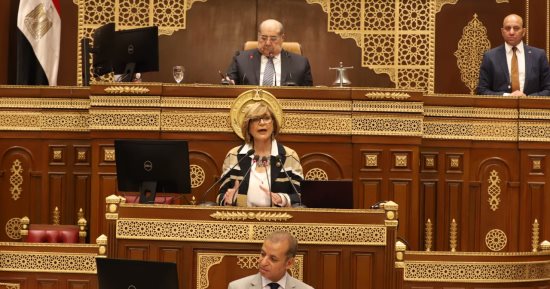 مطالبات برلمانية فى "الشيوخ" بالالتزام بالنسب الدستورية للتعليم فى الموازنة  