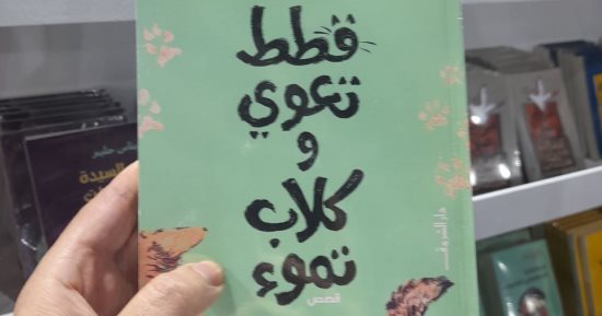 حفل لتوقيع ومناقشة "قطط تعوى وكلاب تموء" فى مبنى قنصلية.. اعرف التفاصيل