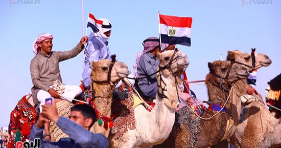 تنظيم سباق هجن تنشيطيا بميدان العريش اليوم .. اعرف التفاصيل