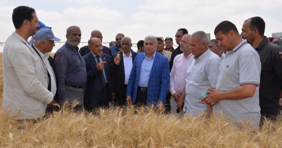 السكرتير العام لمحافظة الإسماعيلية يشهد افتتاح موسم حصاد القمح