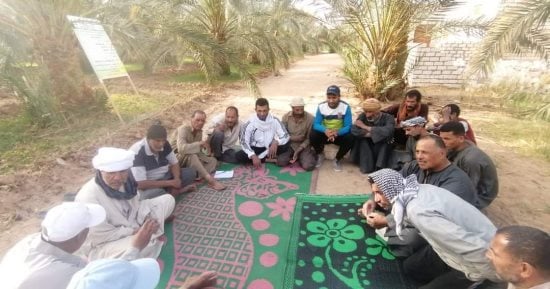 الوادى الجديد تحتفل بتخريج دفعة جديدة من مزارعى مدارس النخيل.. صور